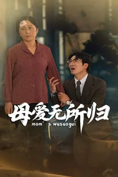 《母爱无所归》封面