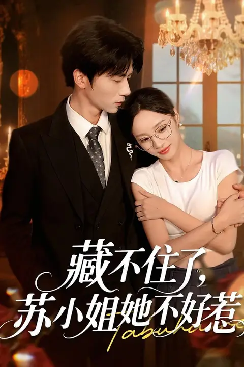 《藏不住了苏小姐她不好惹》封面
