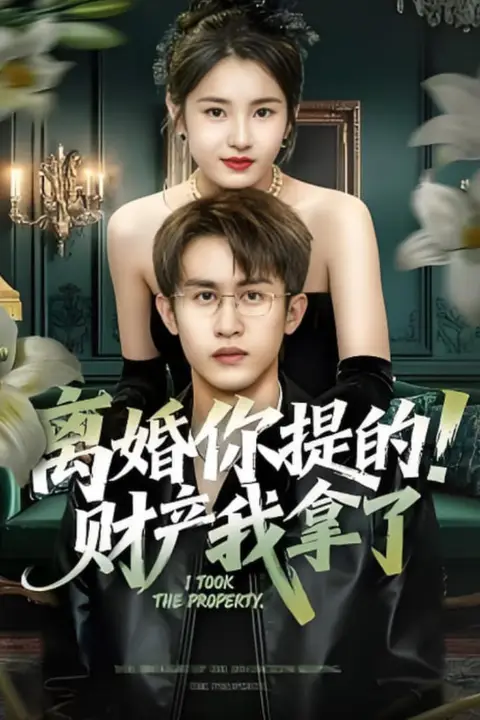 《离婚你提的！财产我拿了》封面