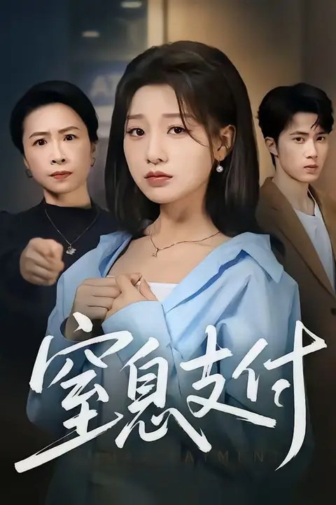 《窒息支付》封面