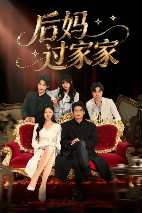 《后妈过家家》封面