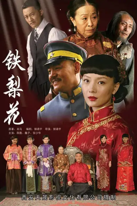 《铁梨花》封面