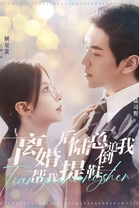 《离婚后陆总倒追我帮我提鞋》封面