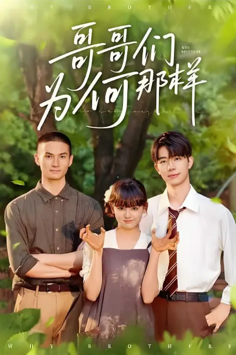 《哥哥们为何对我那样》封面