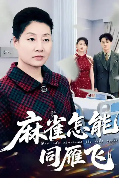 《麻雀怎能同雁飞》封面