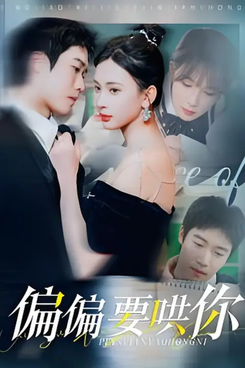 《偏偏要哄你》封面