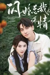 《闪婚总裁太深情》封面