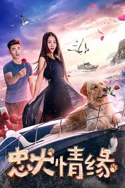 《忠犬情缘》封面