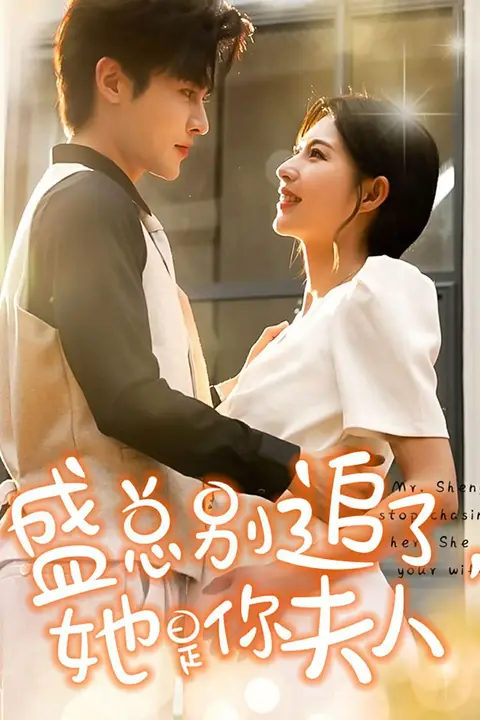 《盛总别追了,她是你夫人》封面