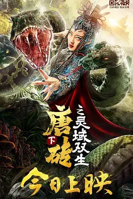 《唐砖下之灵域双生》封面