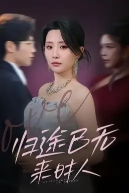 《归途已无来时人》封面