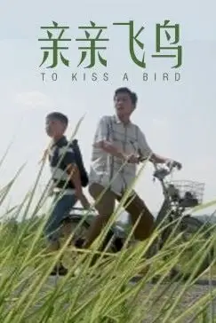 《亲亲飞鸟 (2015)》封面