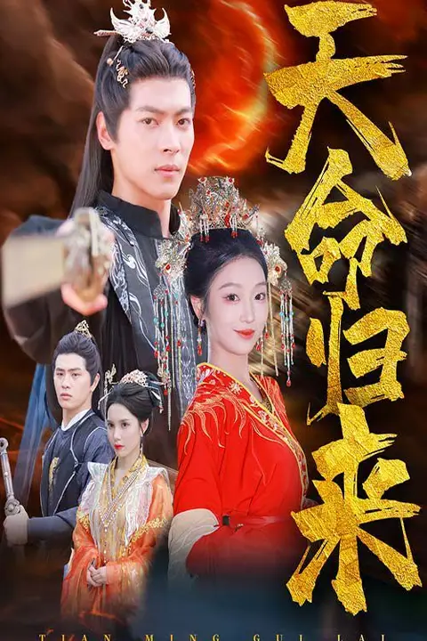 《天命归来》封面