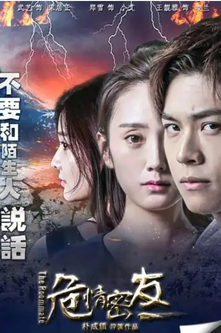 《危情密友》封面