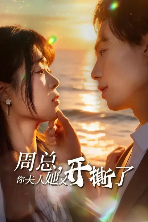 《周总,你夫人她又开撕了》封面