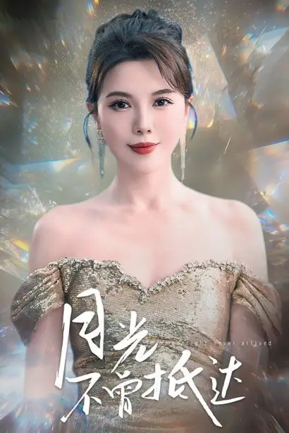 《月光不曾抵达》封面