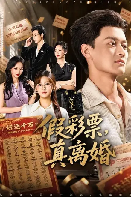 《假彩票，真离婚》封面