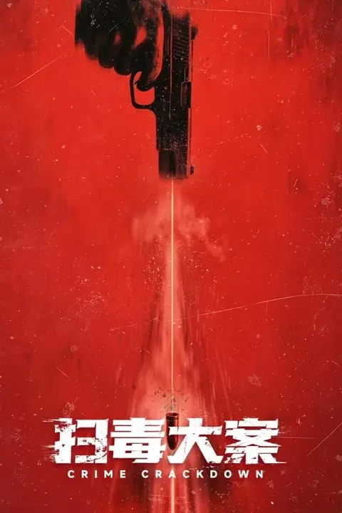 《扫毒大案》封面