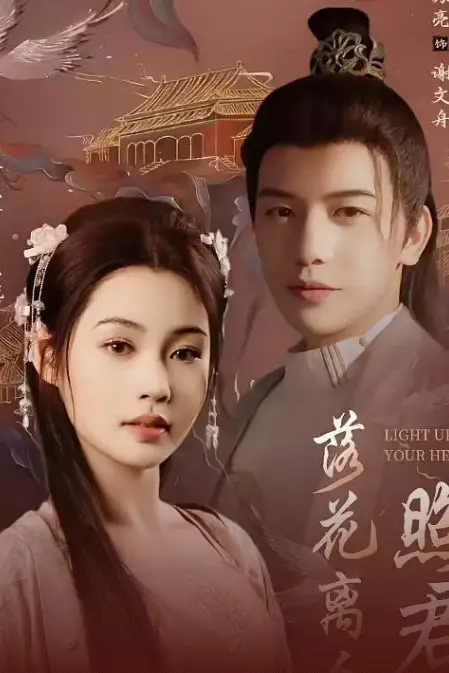 《落花离人照君心(嫁给首辅后要风得雨)》封面