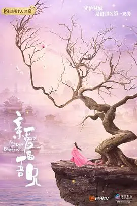 《亲爱的吾兄》封面