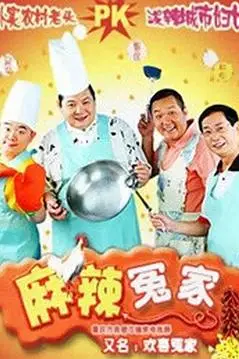 《麻辣冤家2》封面