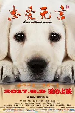 《忠爱无言》封面