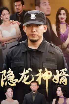 《隐龙神婿》封面