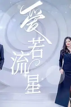 《爱若流星》封面