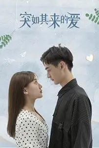 《突如其来的爱》封面