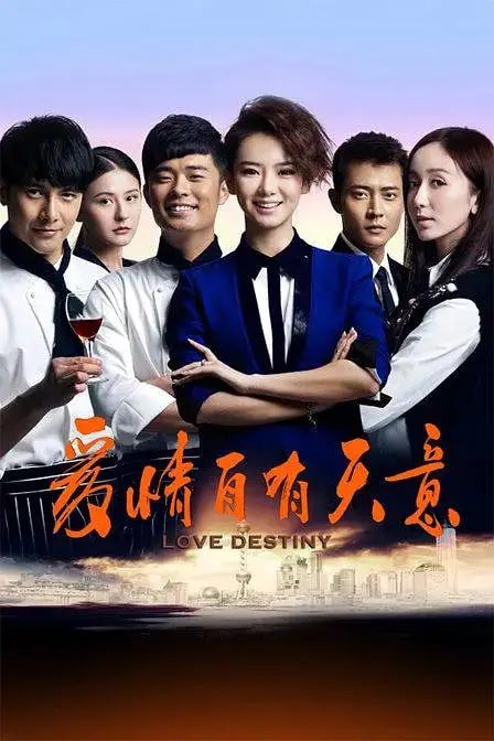 《爱情自有天意》封面