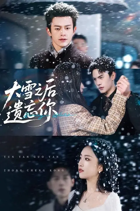 《大雪之后遗忘你》封面