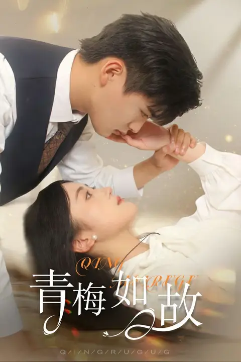 《青梅如故(恰似旧人来)》封面