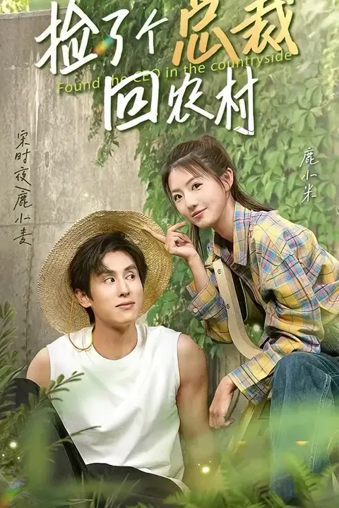 《捡了个总裁回农村》封面