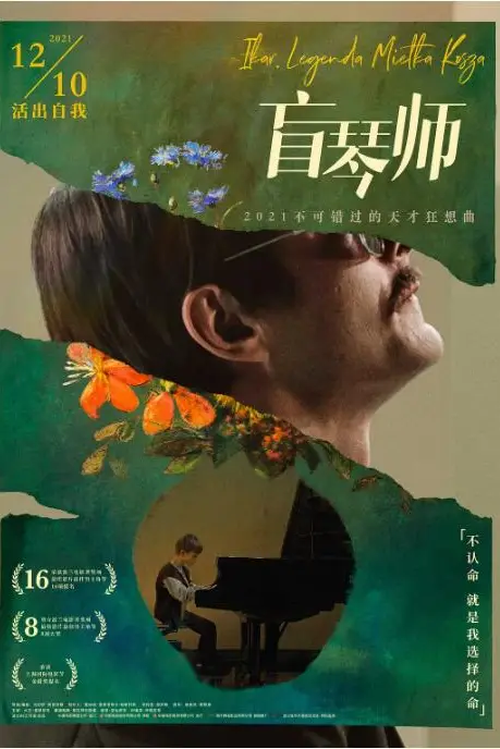 《盲琴师》封面