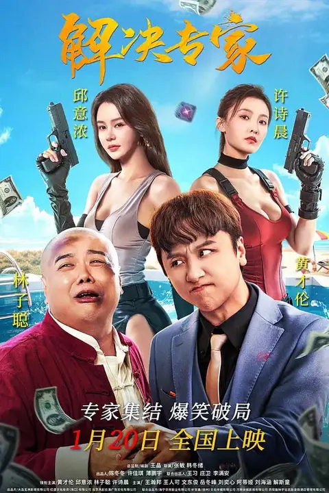 《解决专家》封面