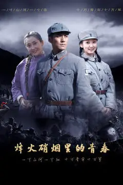《烽火硝烟里的青春》封面
