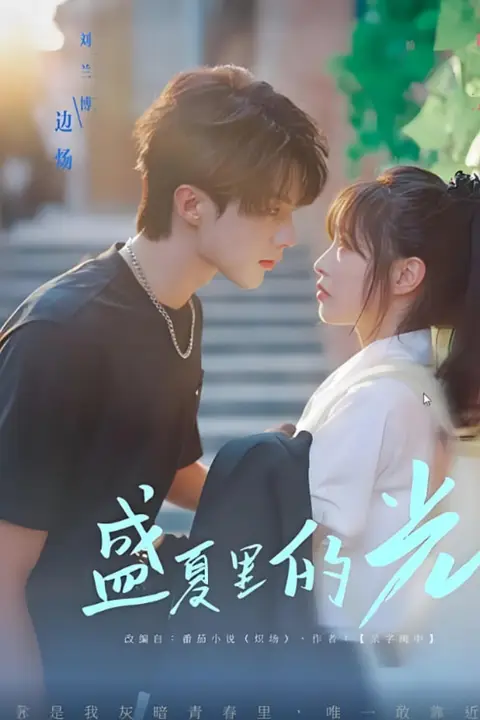 《盛夏里的光》封面
