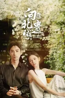 《向北的遗憾》封面