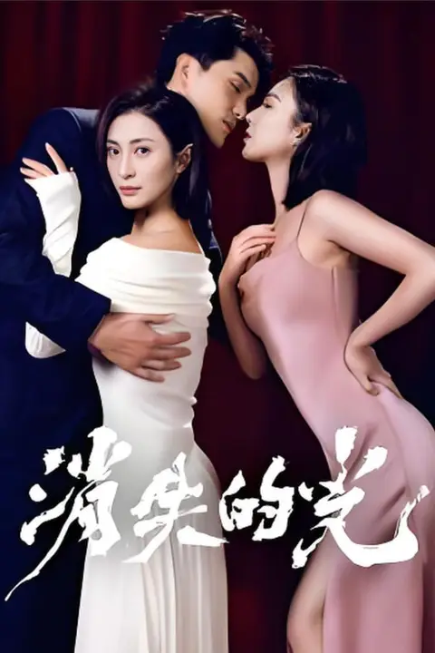 《消失的光》封面