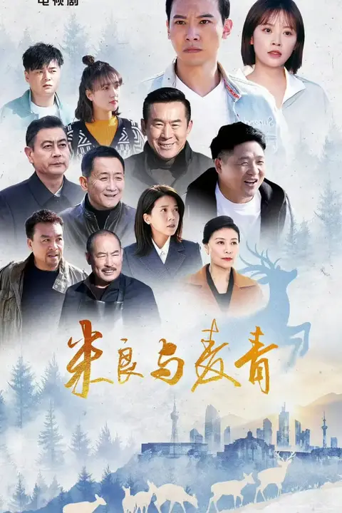 《米良与麦青》封面