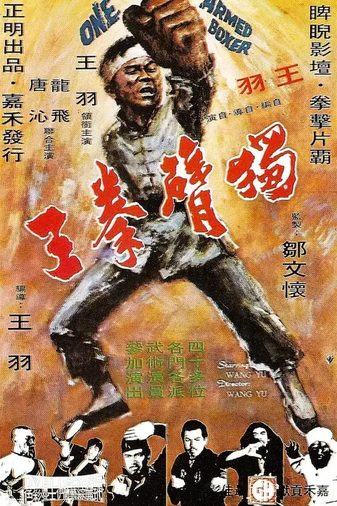 《独臂拳王》封面