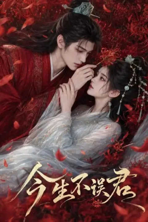《今生不误君》封面