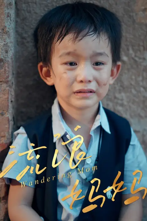《流浪妈妈》封面