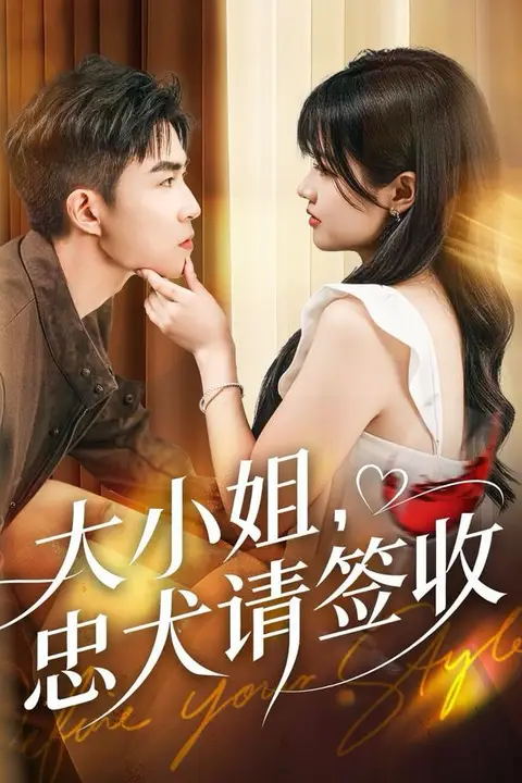 《大小姐忠犬请签收》封面