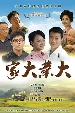 《家大业大》封面