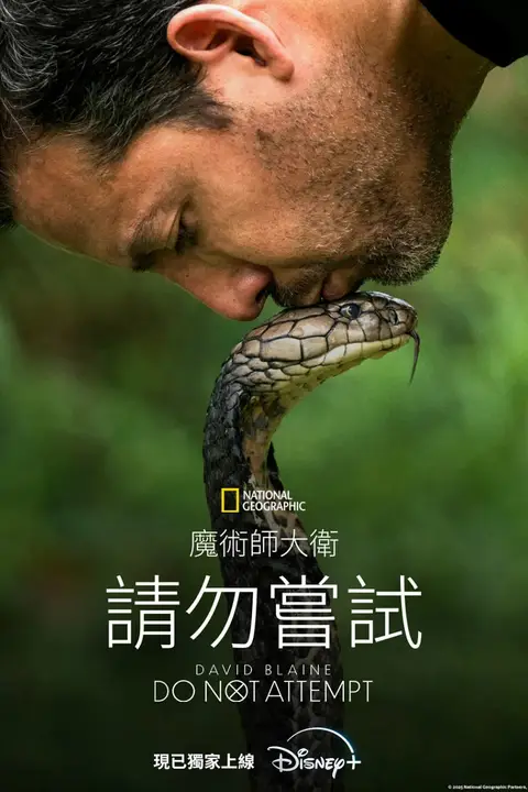 《大卫·布雷恩:请勿尝试》封面