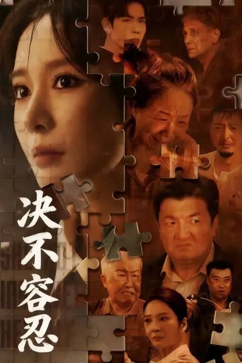 《决不容忍（以身入局的她）》封面