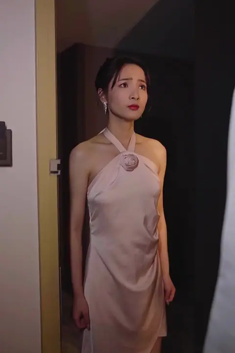 《裴总,夫人说她不需要两个老公》封面