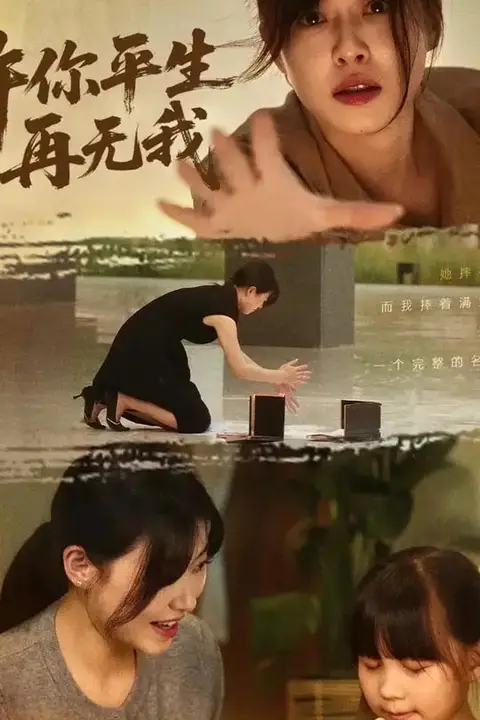 《许你平生再无我》封面