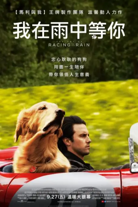 《我在雨中等你》封面